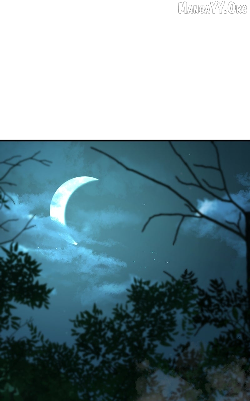 Read System Universe Manga Online