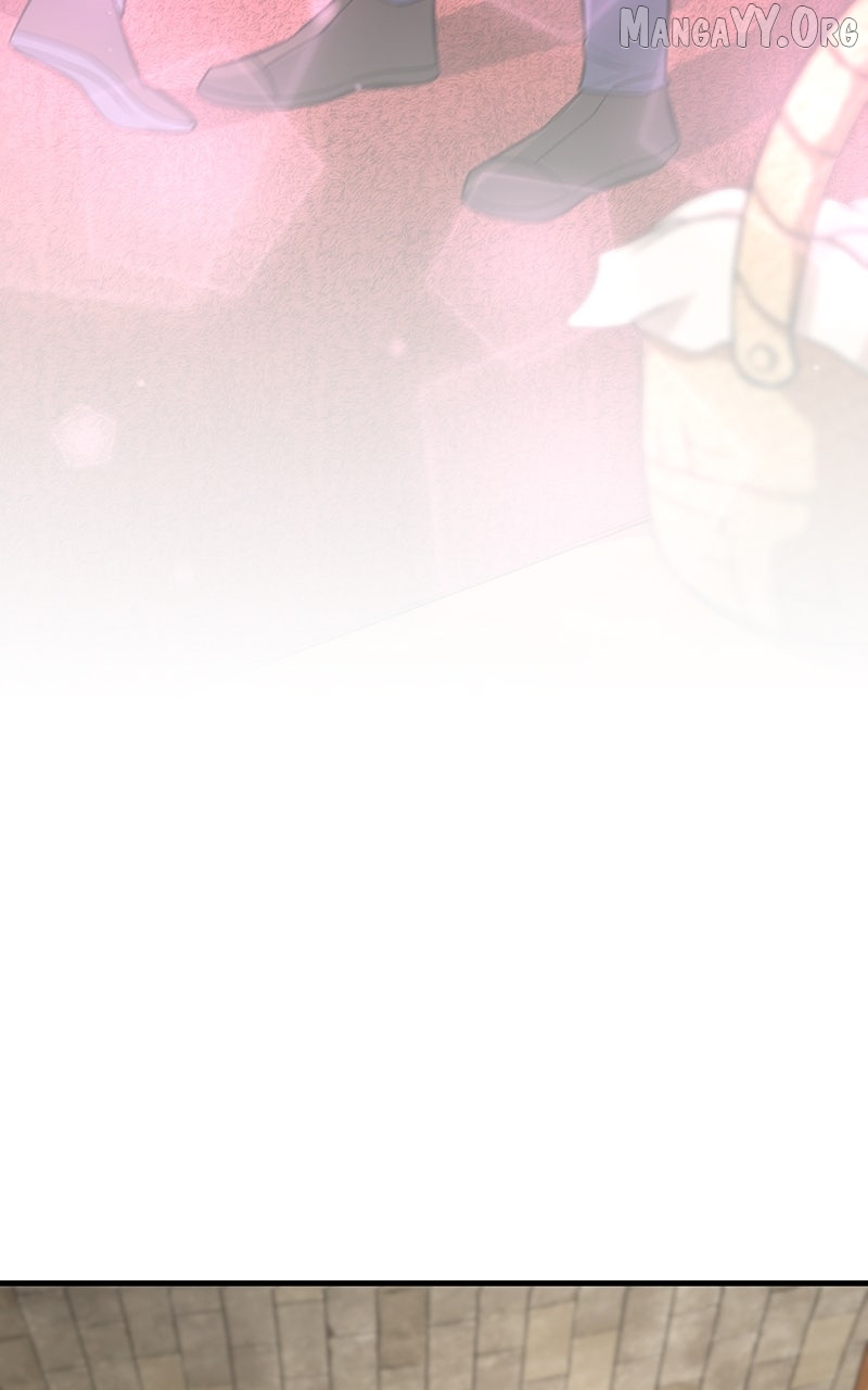 Read System Universe Manga Online