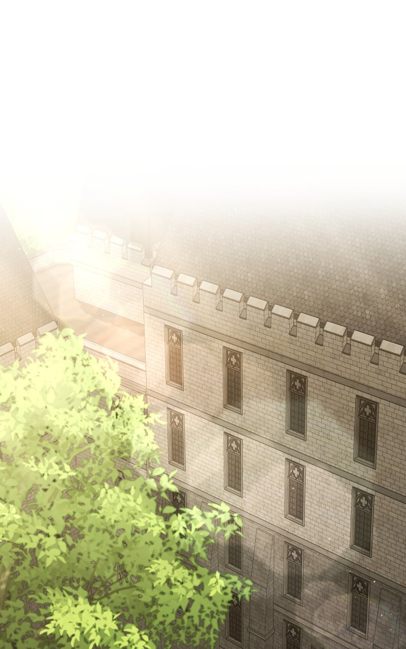 Read The Back Alley Mage's Second Life Manga Online