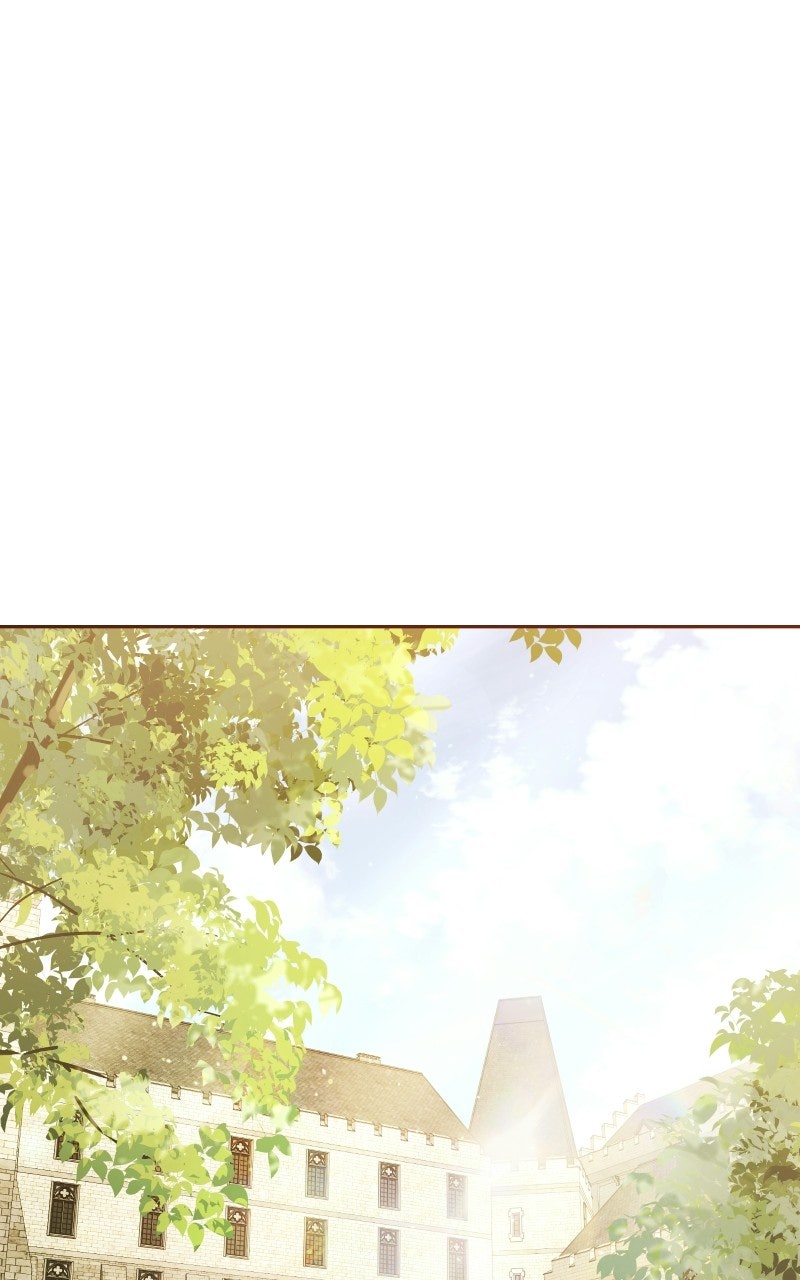 Read The Back Alley Mage's Second Life Manga Online