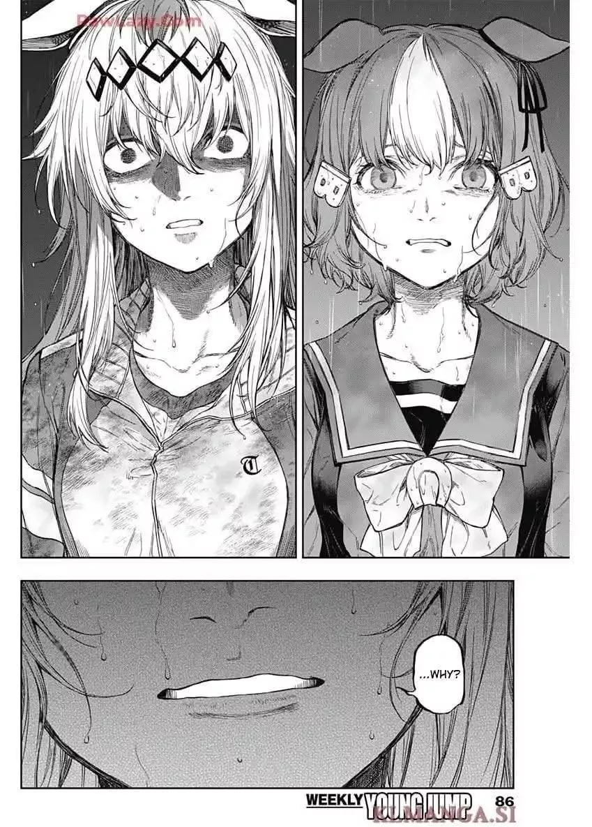 Read Uma Musume Cinderella Gray (EN) Manga Online