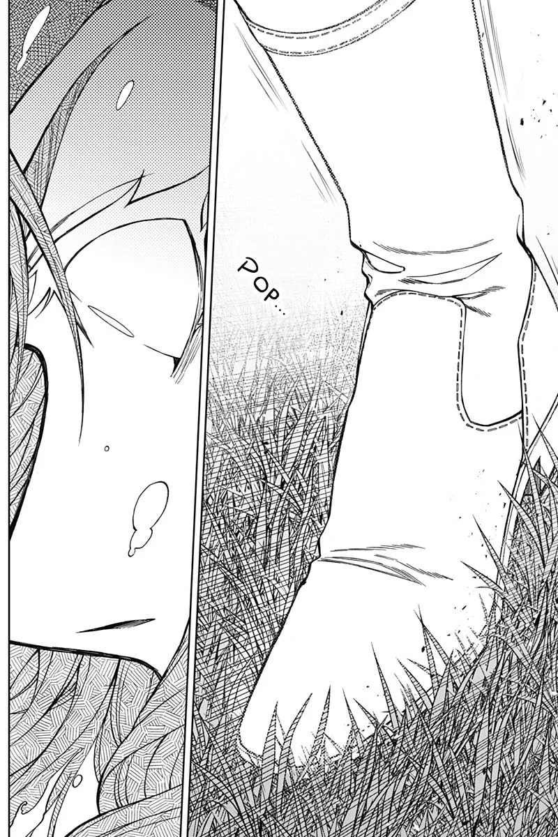 Read Uma Musume Cinderella Gray (EN) Manga Online