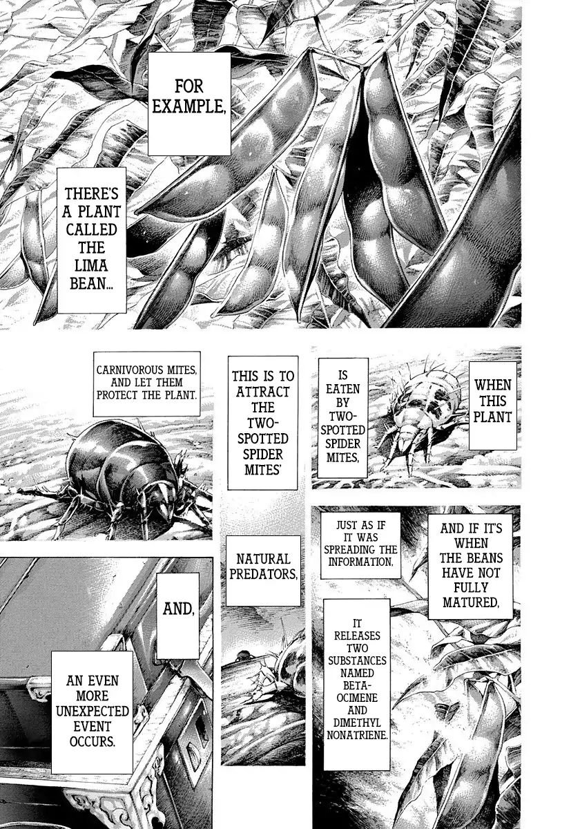 Read Usogui Manga Online