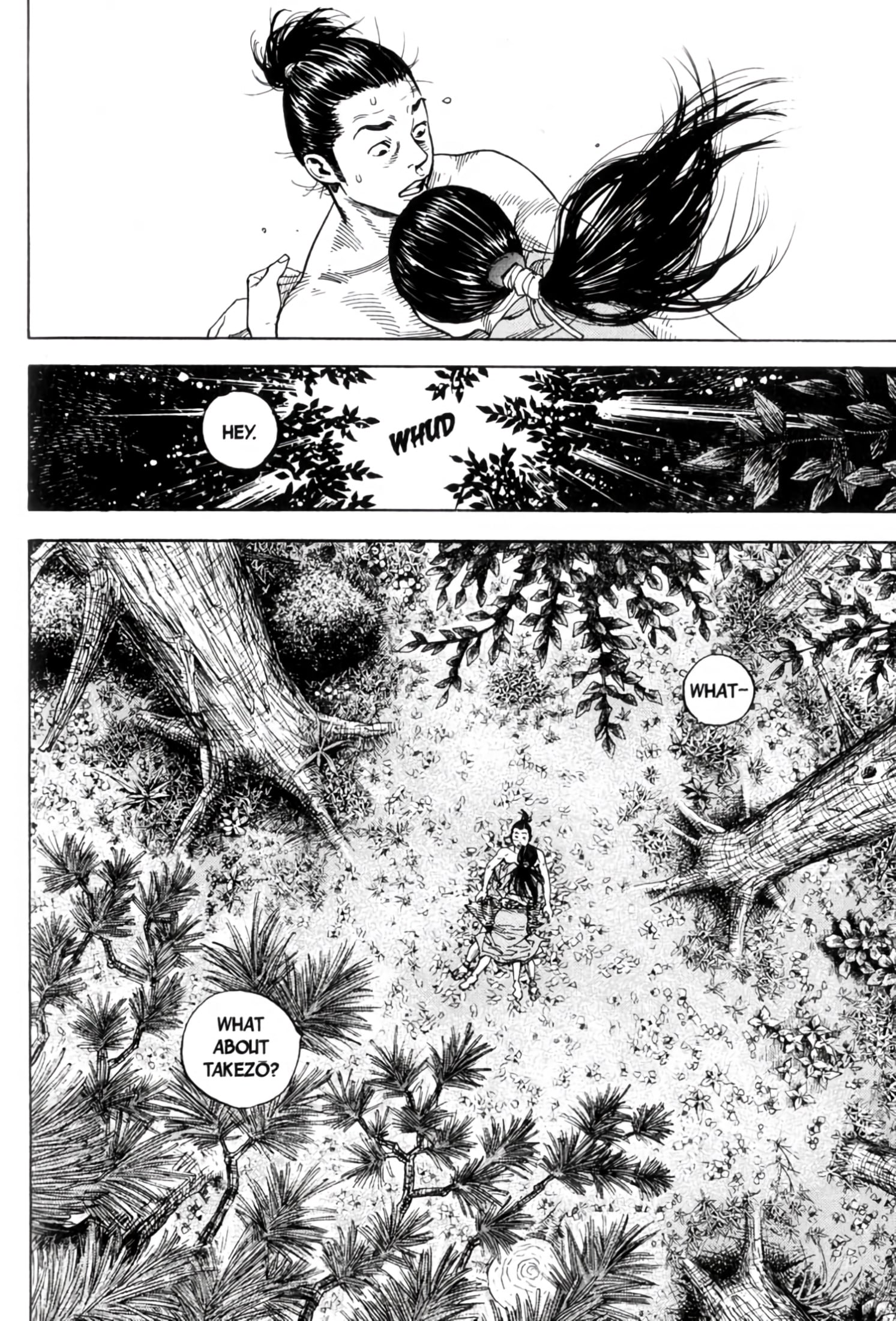 Read VagabondEN Manga Online