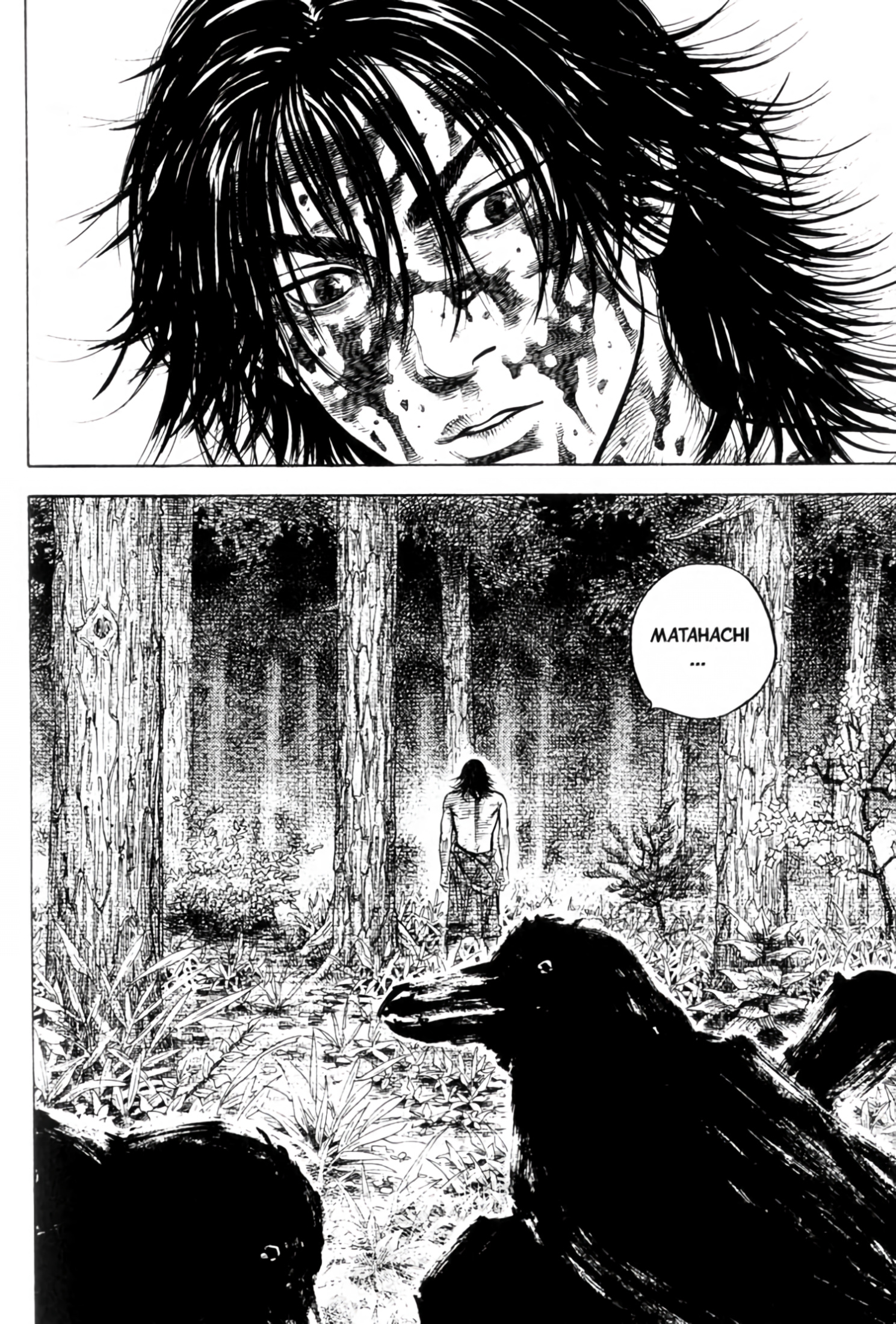 Read VagabondEN Manga Online