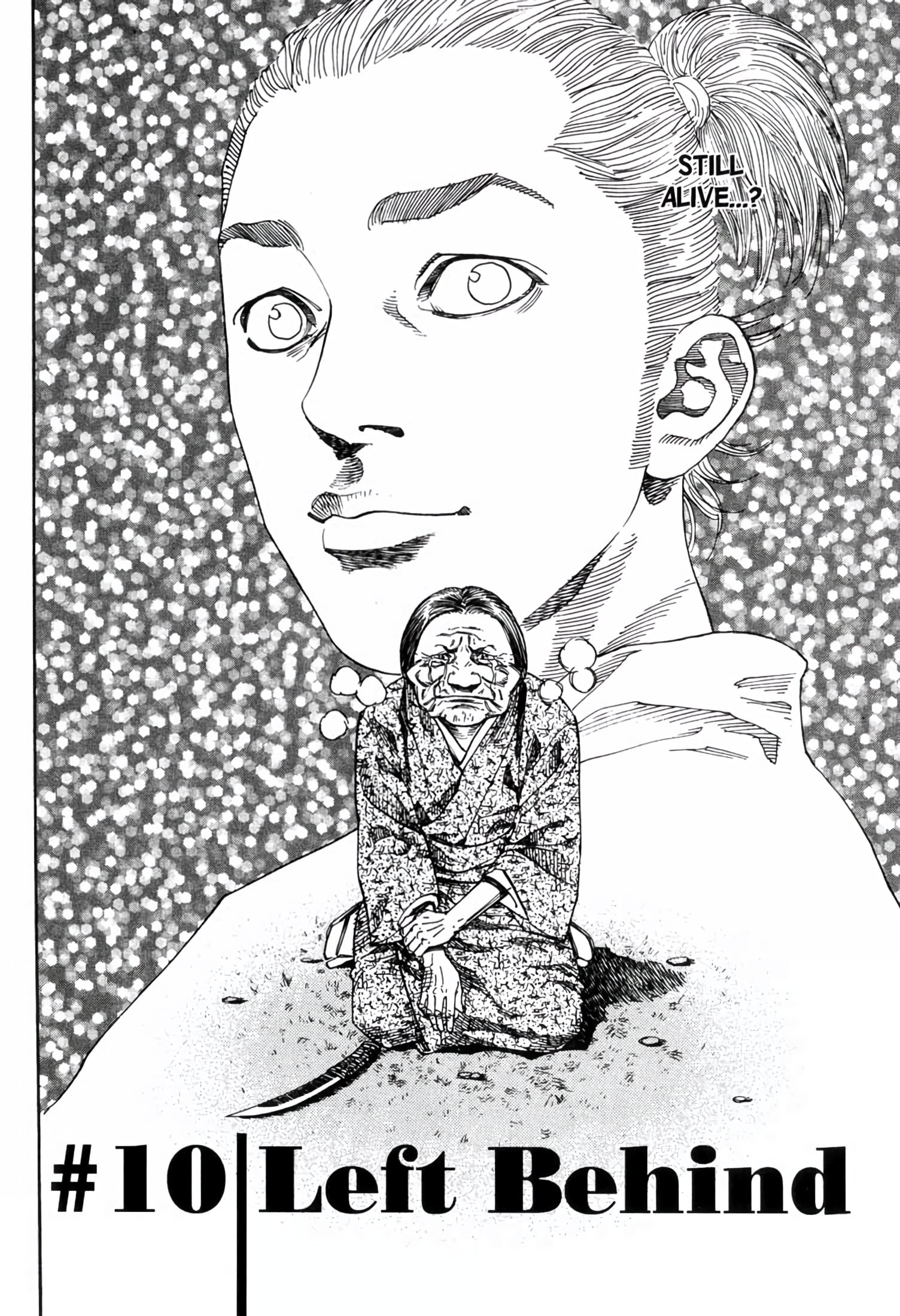Read VagabondEN Manga Online