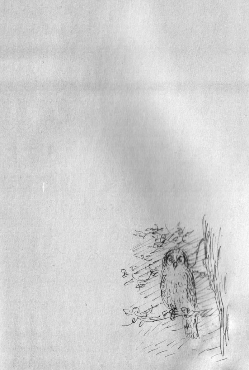 Read VagabondEN Manga Online