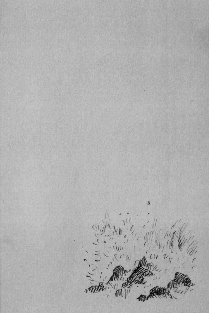 Read VagabondEN Manga Online