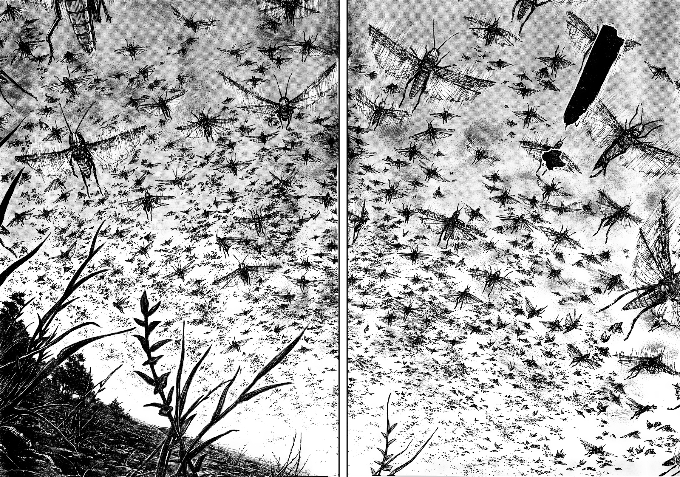 Read VagabondEN Manga Online