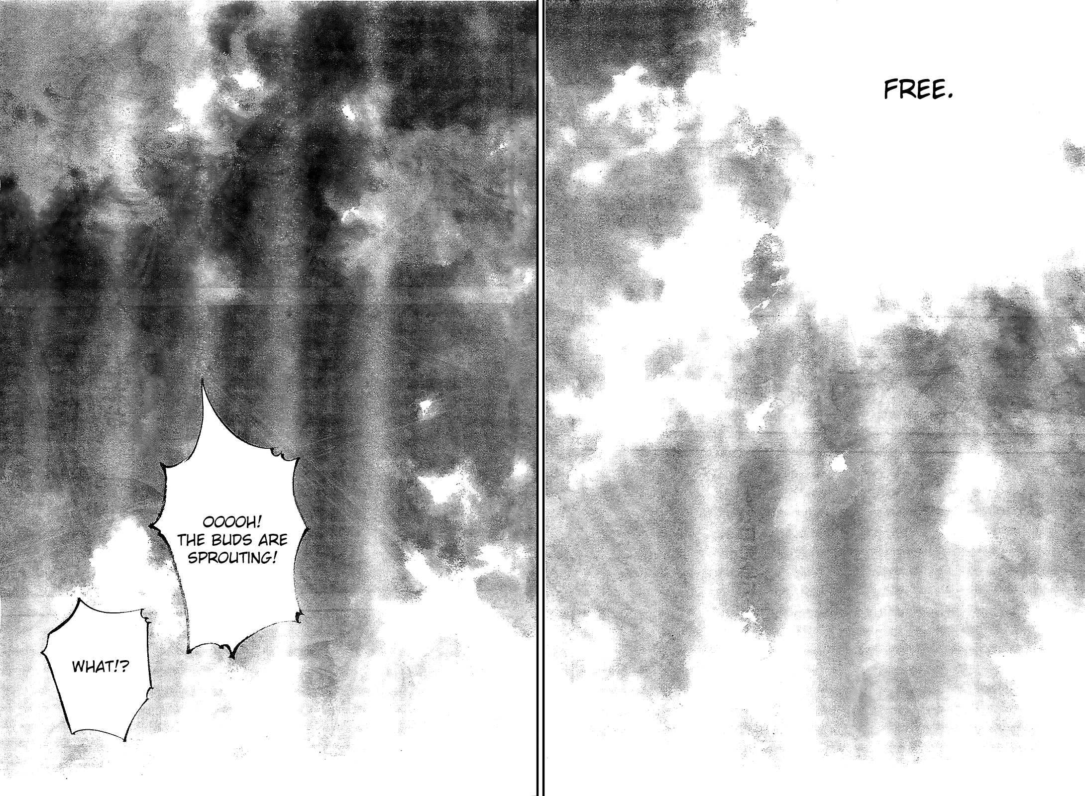 Read VagabondEN Manga Online