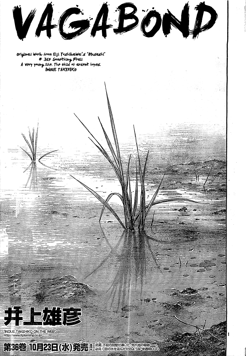 Read VagabondEN Manga Online