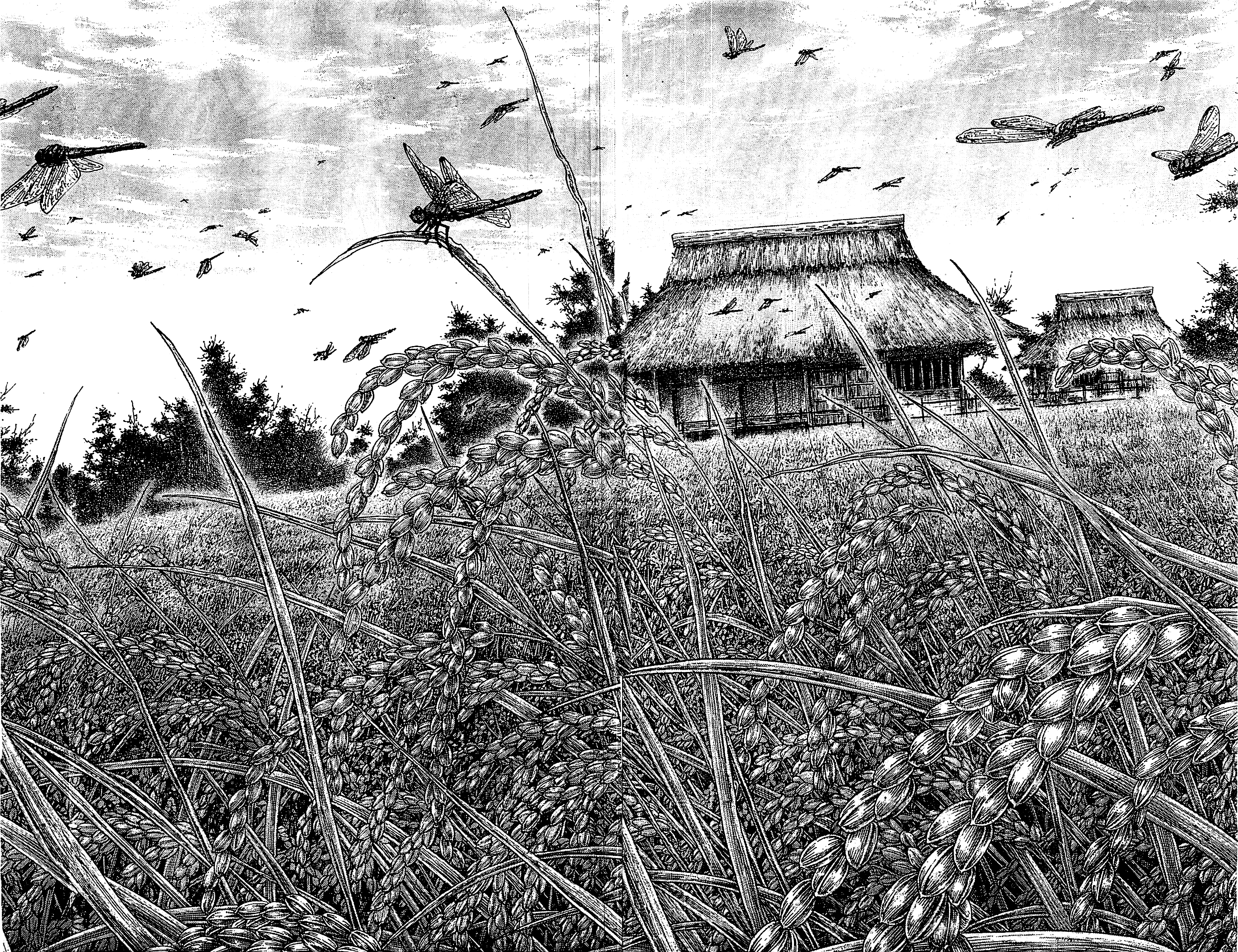 Read VagabondEN Manga Online