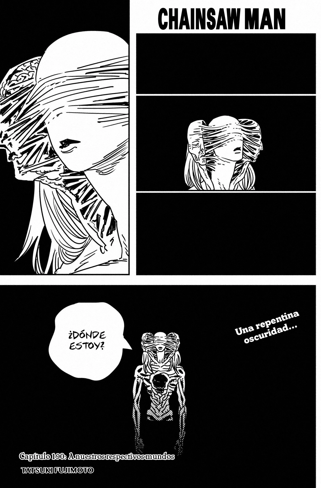 Read Chainsaw Man (ES) Manga Online