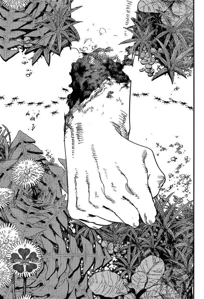 Read Chainsaw Man (ES) Manga Online