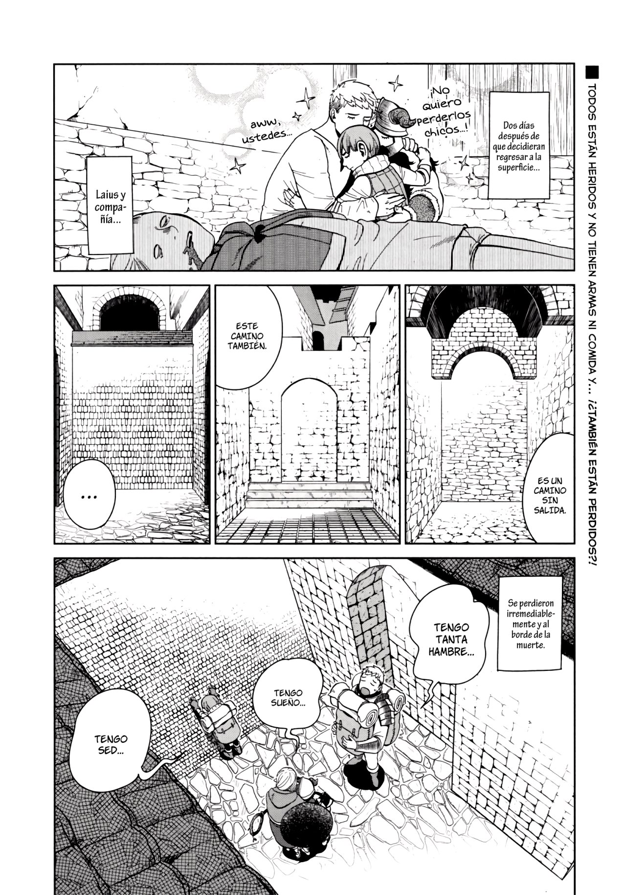 Read Dungeon Meshi (ES) Manga Online