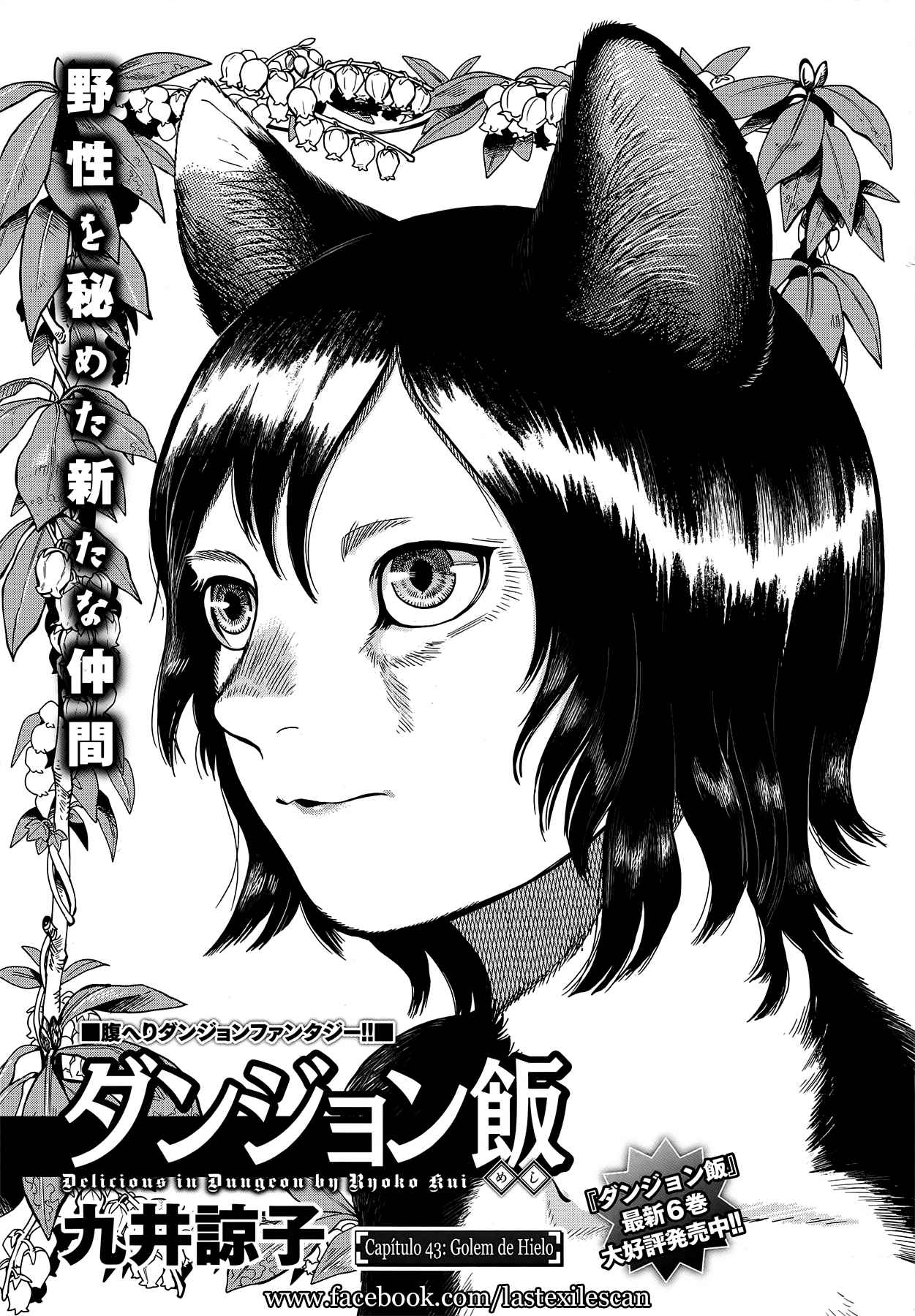 Read Dungeon Meshi (ES) Manga Online