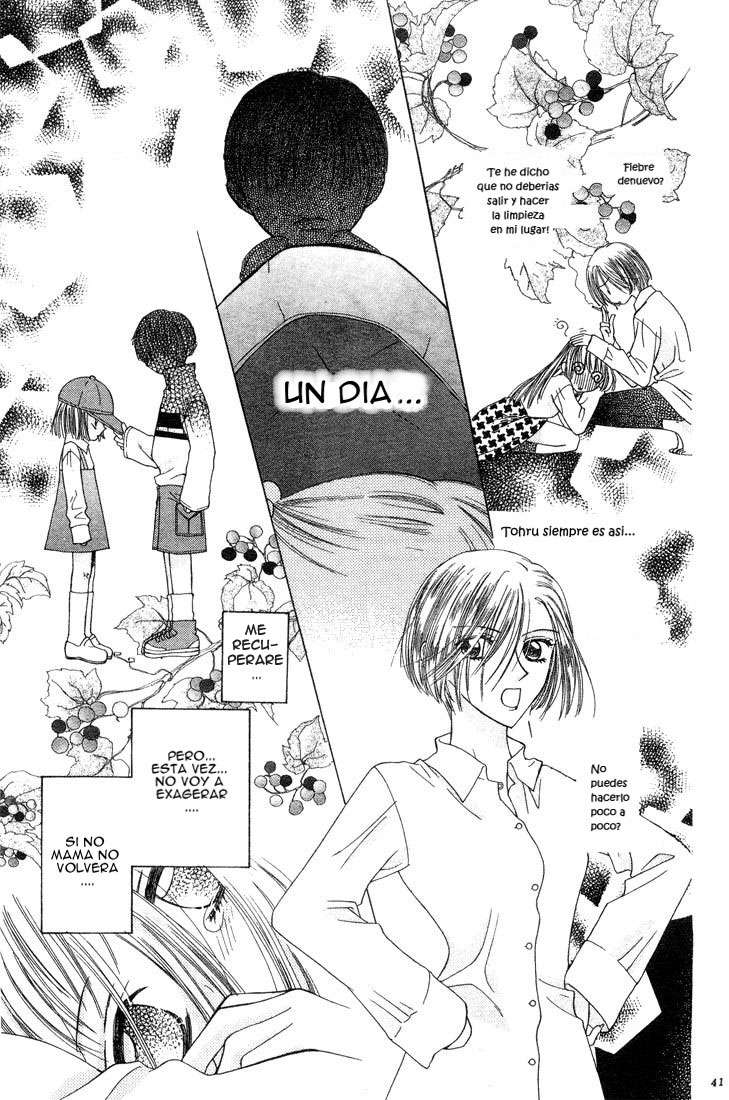 Read Fruits Basket (ES) Manga Online