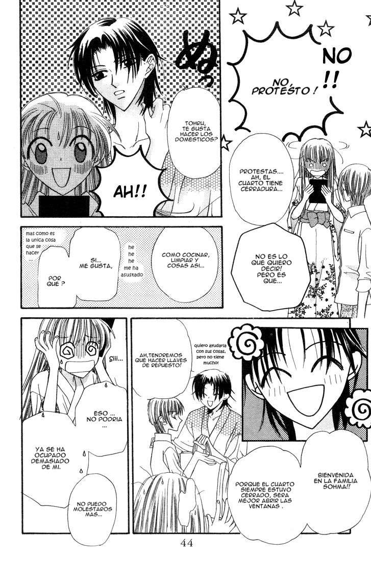 Read Fruits Basket (ES) Manga Online