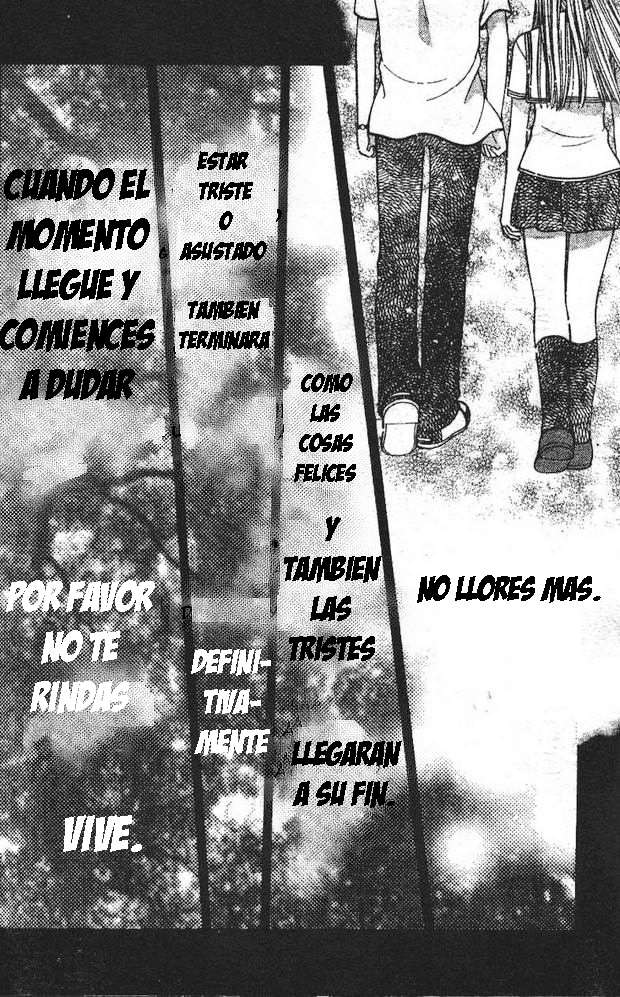 Read Fruits Basket (ES) Manga Online