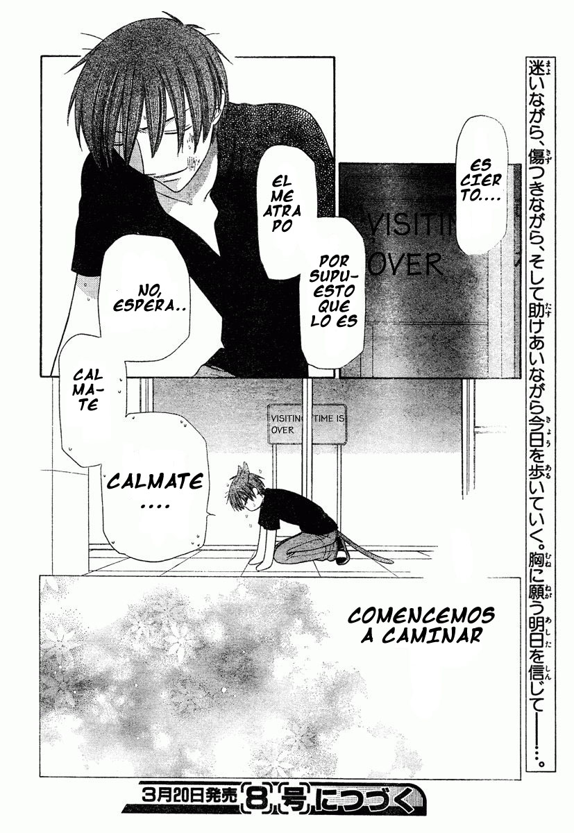Read Fruits Basket (ES) Manga Online