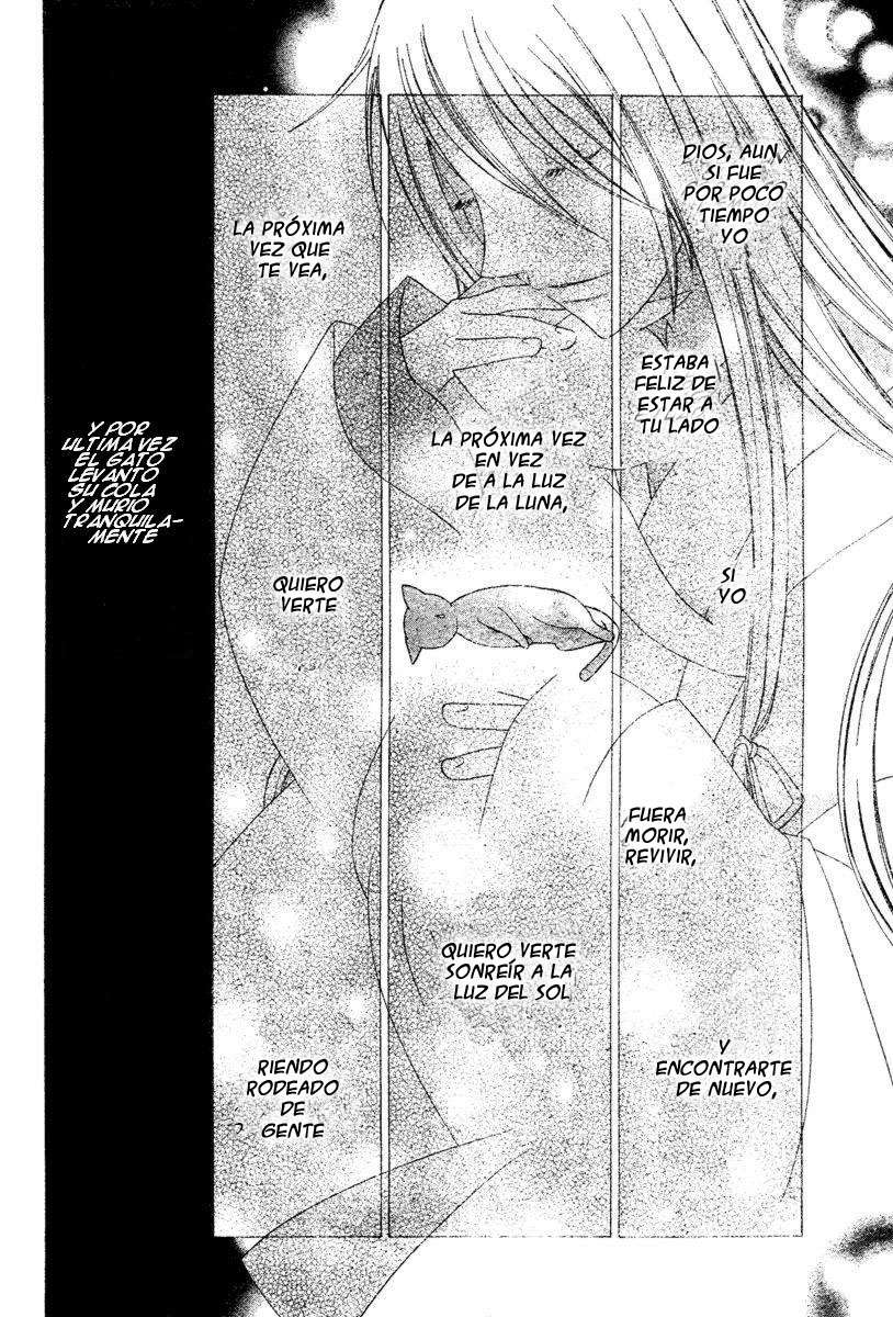 Read Fruits Basket (ES) Manga Online