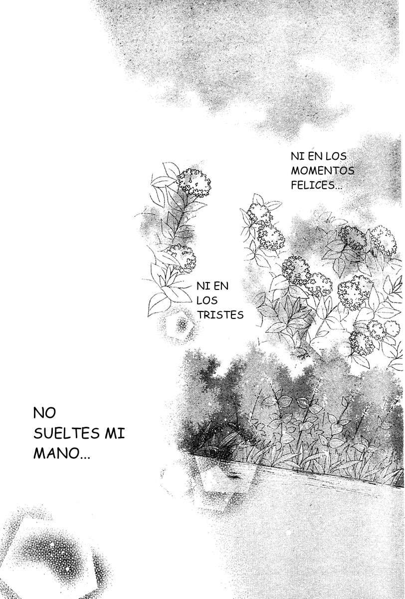Read Fruits Basket (ES) Manga Online