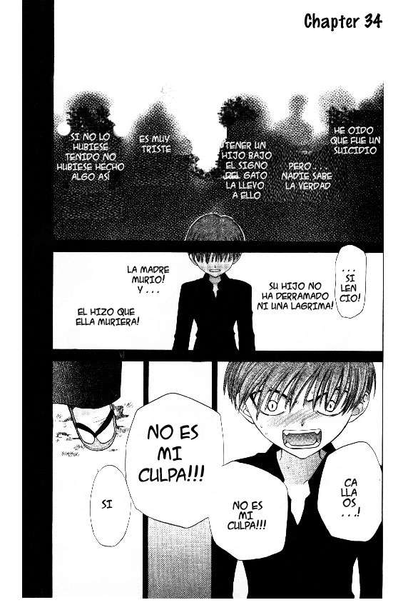 Read Fruits Basket (ES) Manga Online