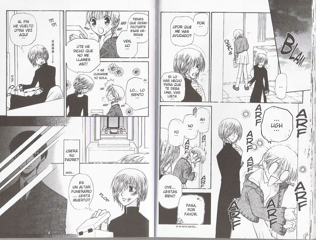 Read Fruits Basket (ES) Manga Online