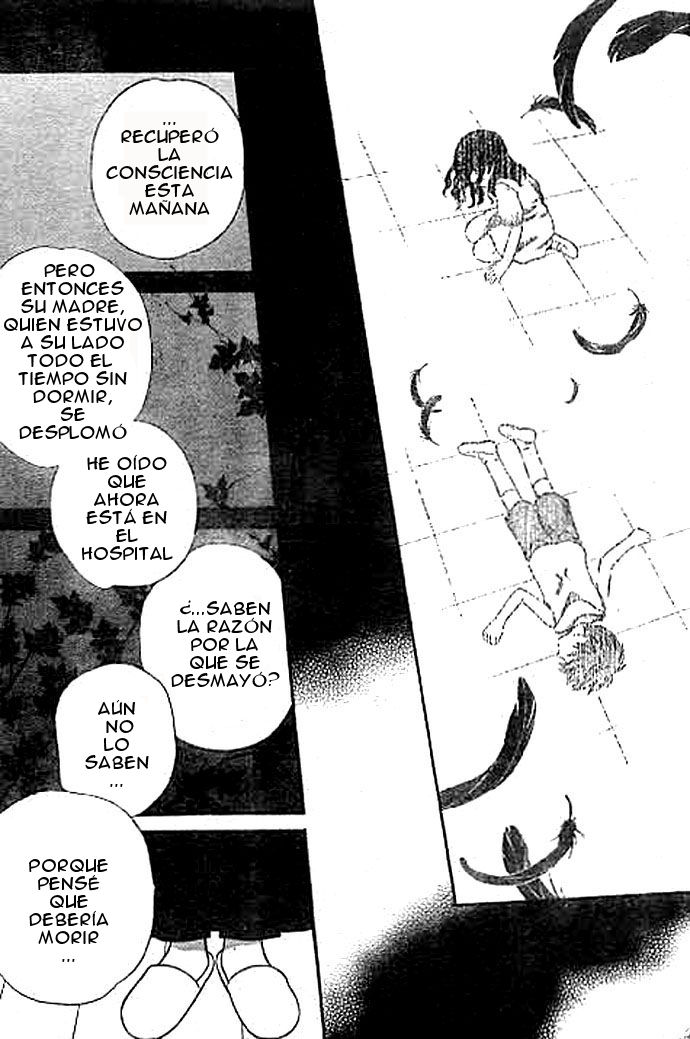Read Fruits Basket (ES) Manga Online