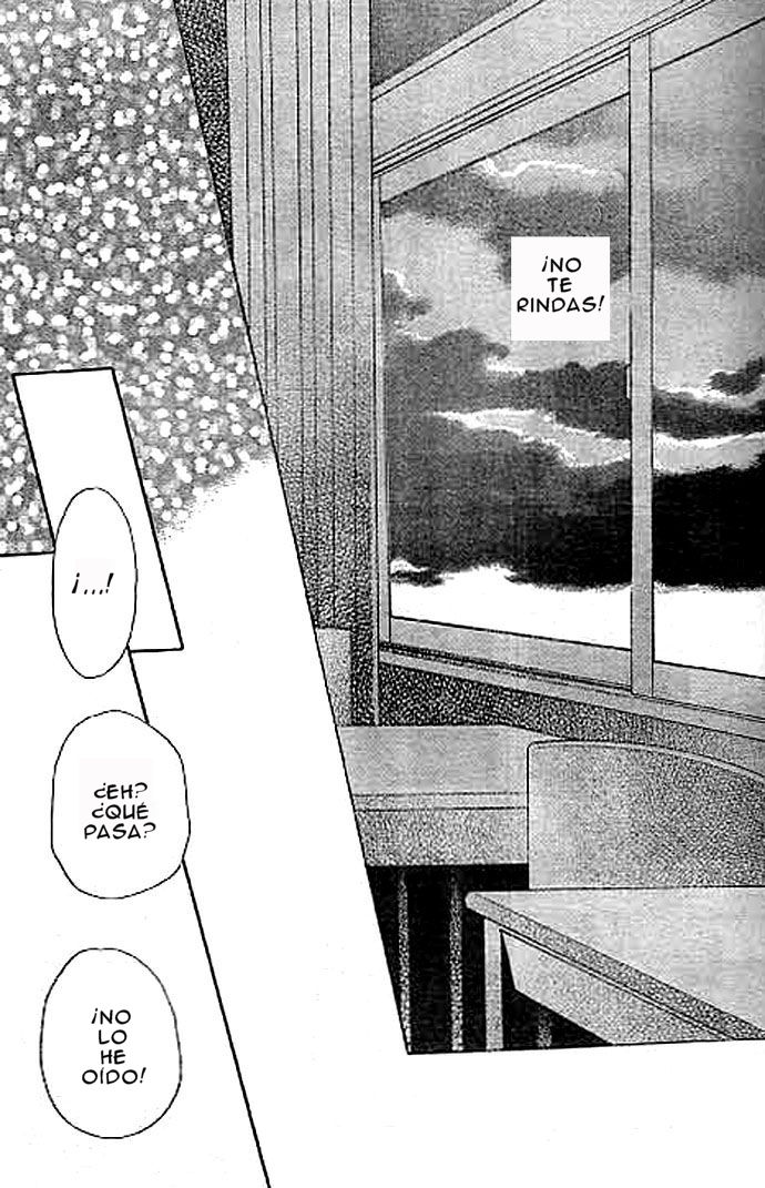 Read Fruits Basket (ES) Manga Online