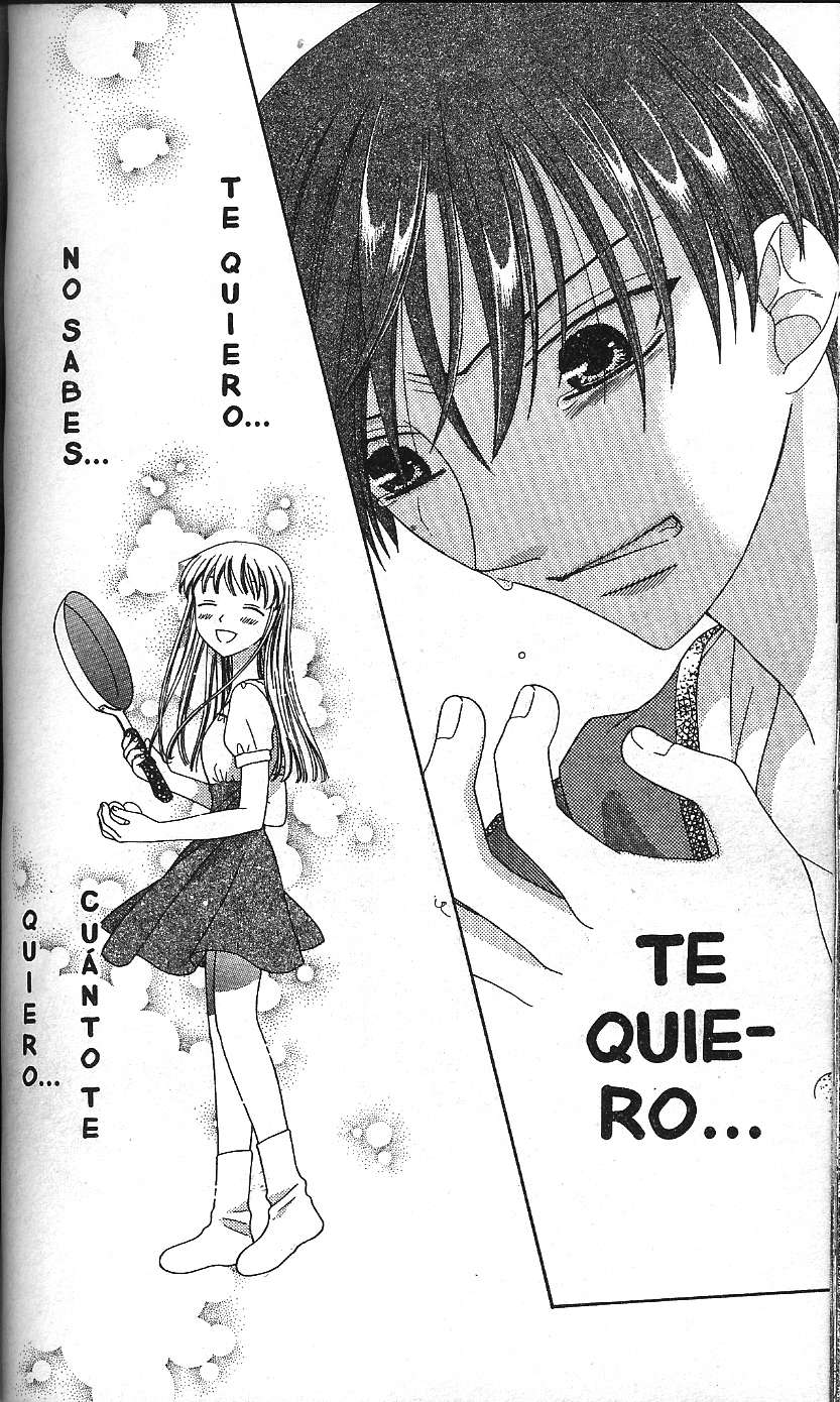 Read Fruits Basket (ES) Manga Online