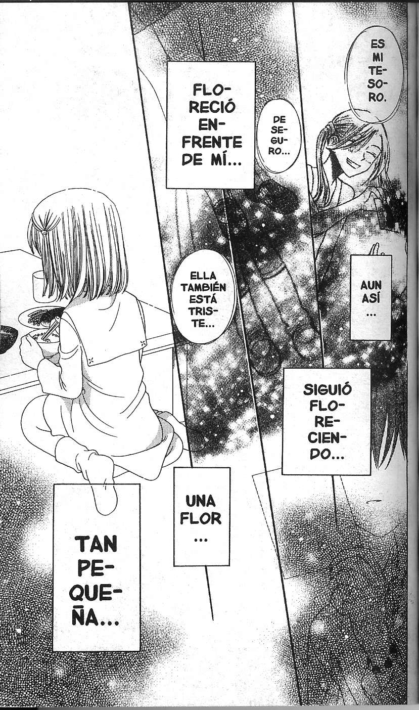 Read Fruits Basket (ES) Manga Online