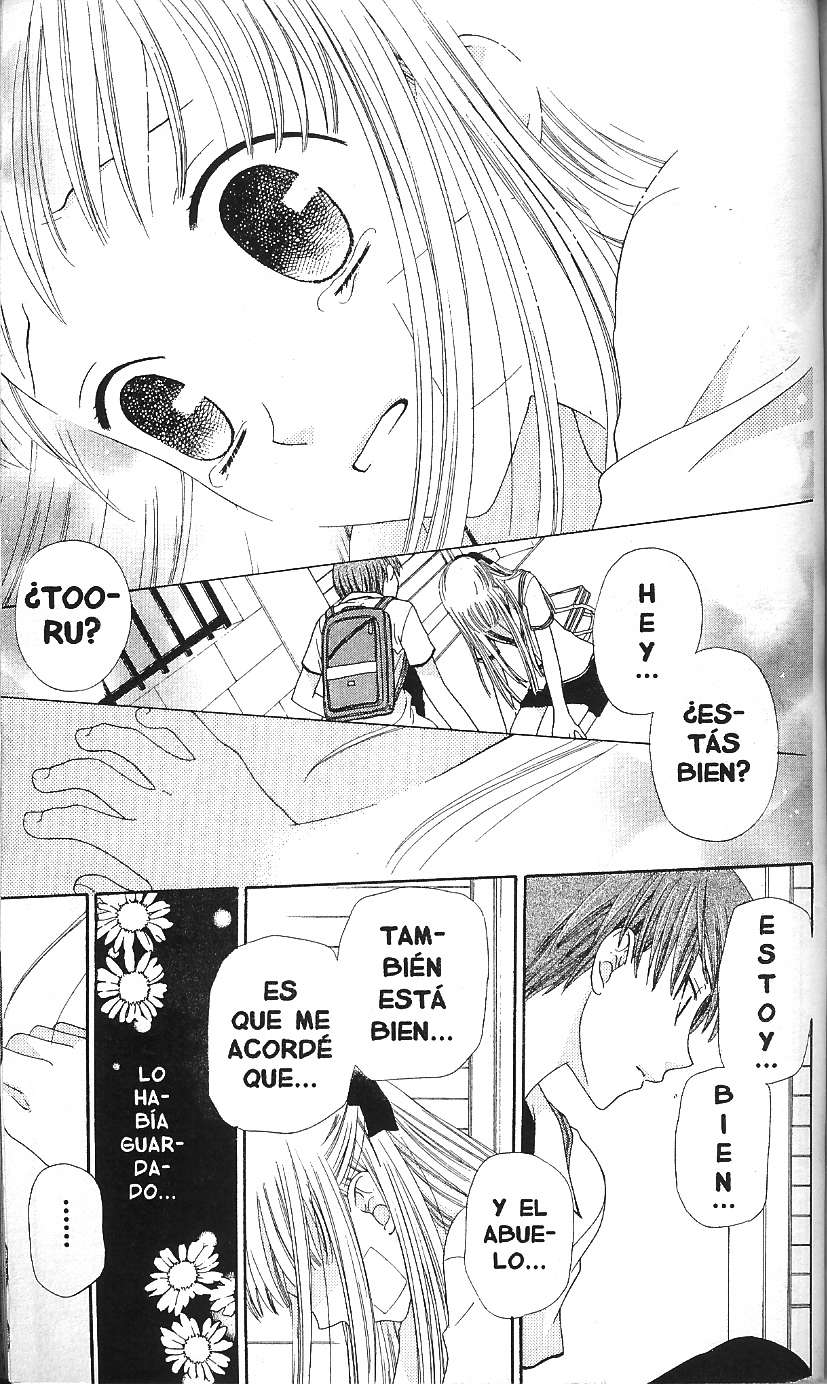 Read Fruits Basket (ES) Manga Online