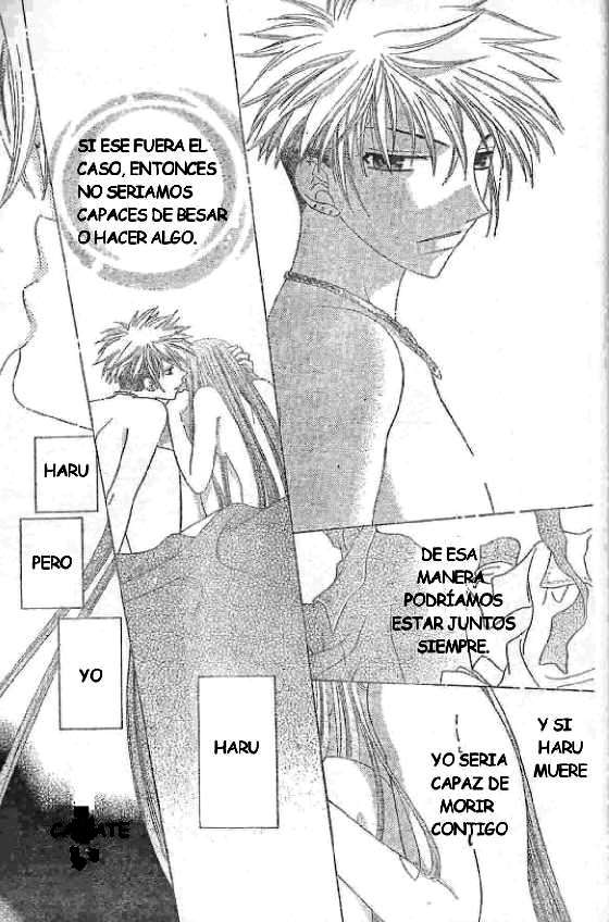 Read Fruits Basket (ES) Manga Online