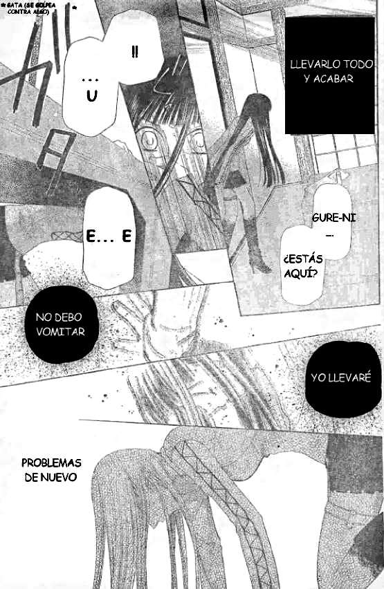 Read Fruits Basket (ES) Manga Online
