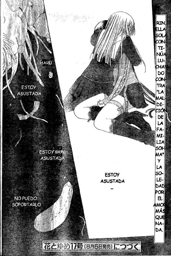 Read Fruits Basket (ES) Manga Online