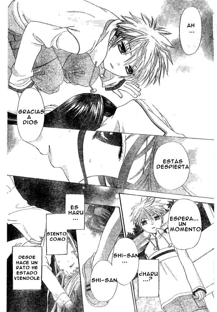 Read Fruits Basket (ES) Manga Online