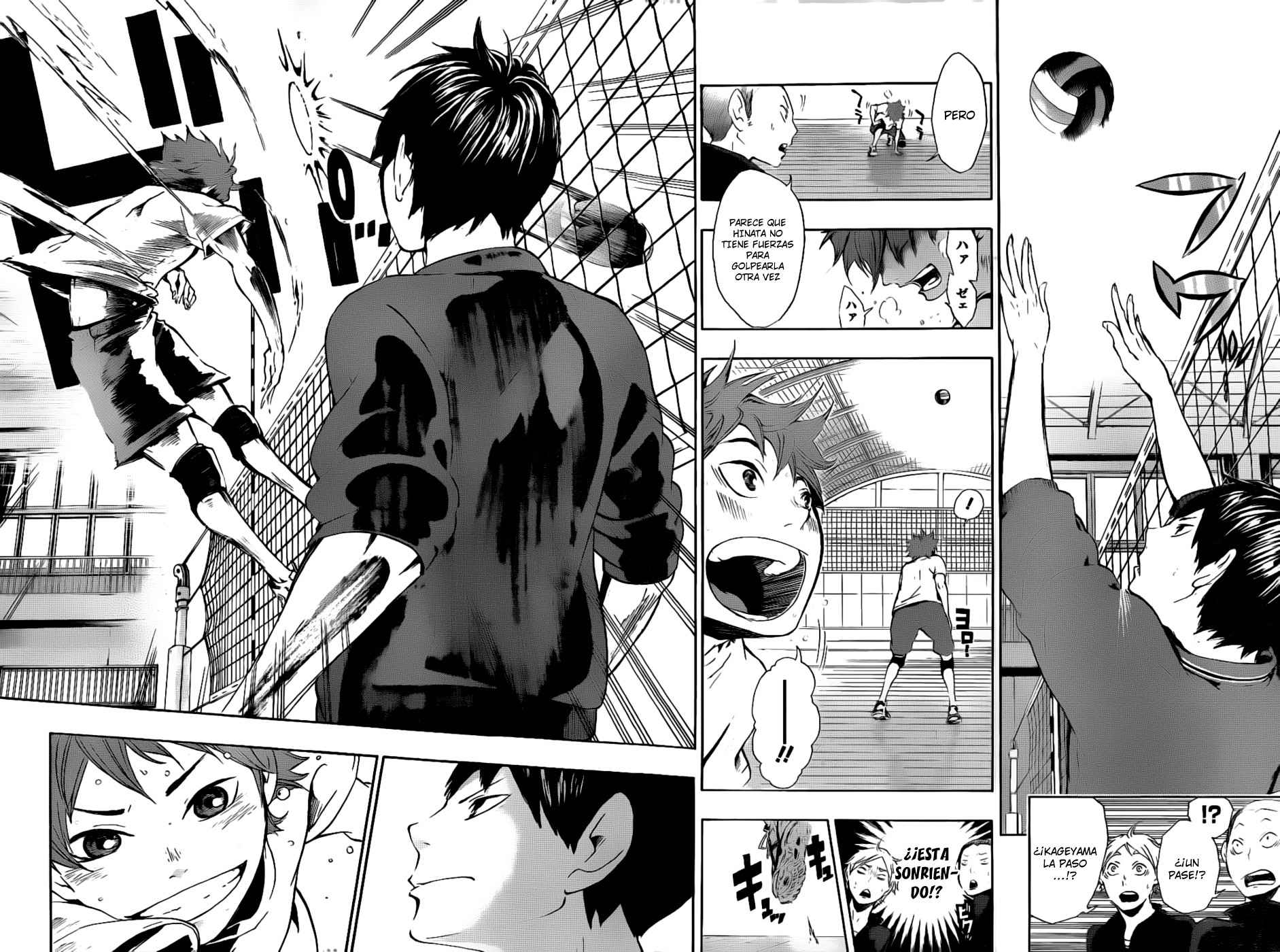Read Haikyuu!! (ES) Manga Online