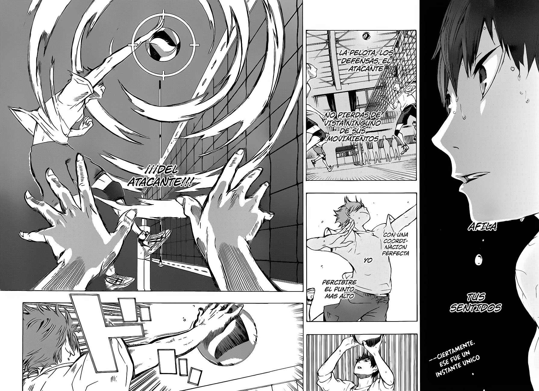 Read Haikyuu!! (ES) Manga Online