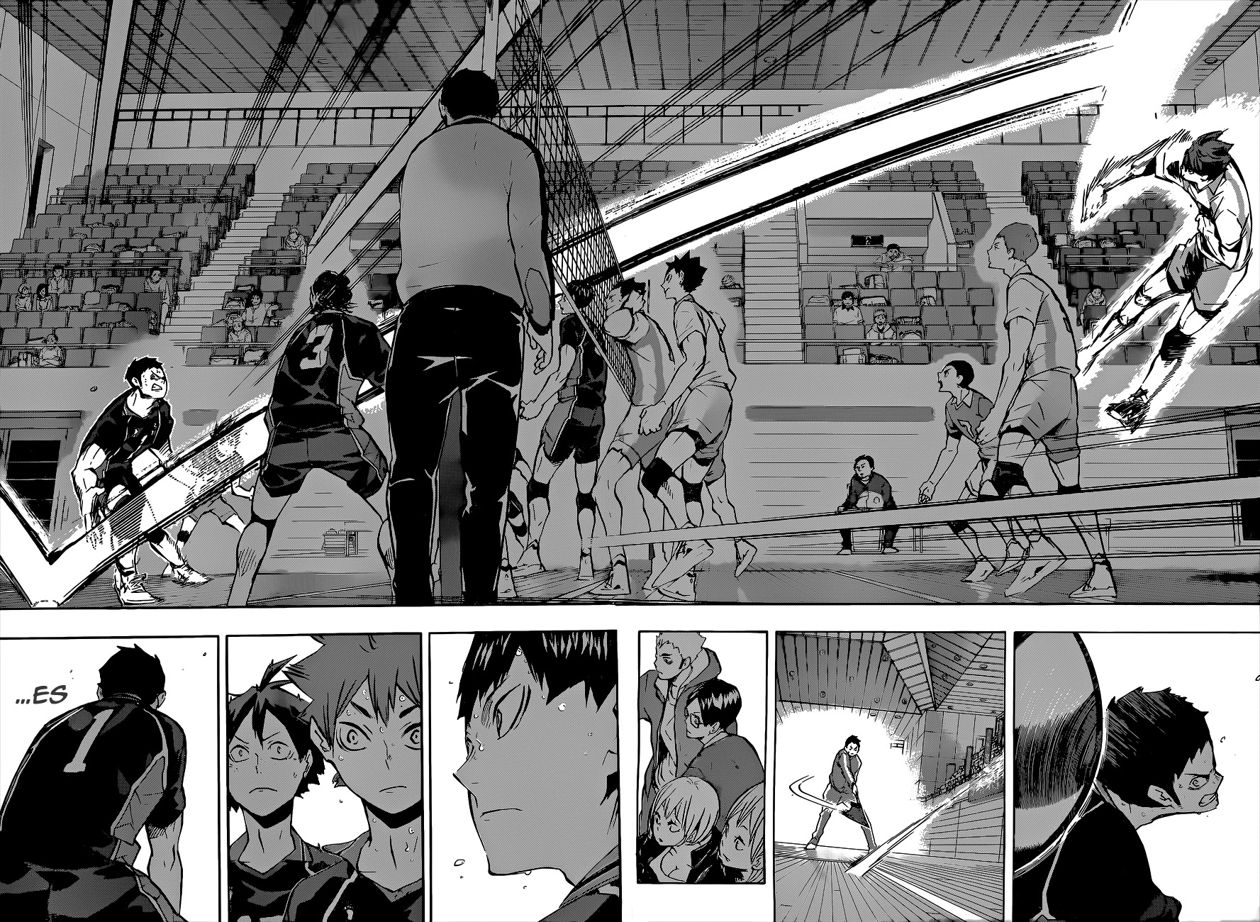 Read Haikyuu!! (ES) Manga Online