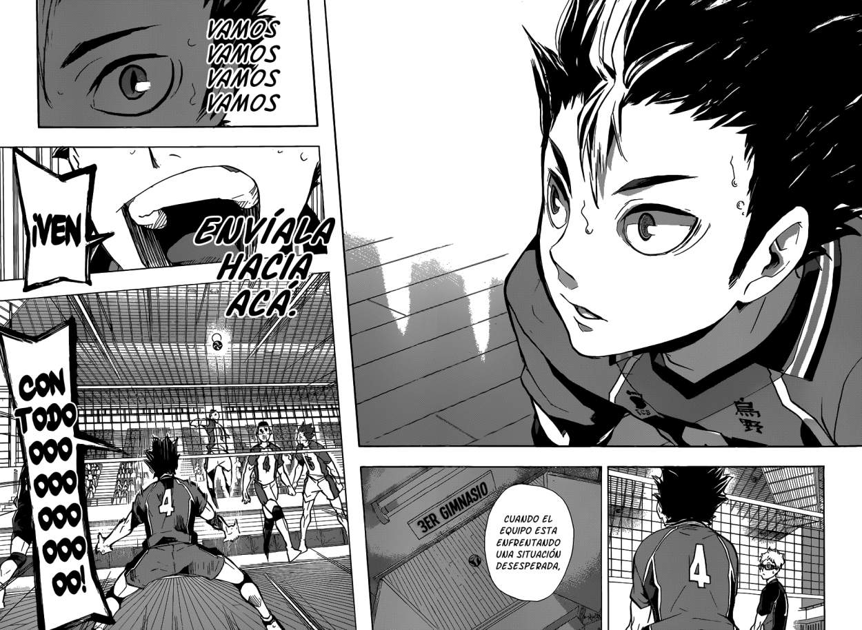 Read Haikyuu!! (ES) Manga Online