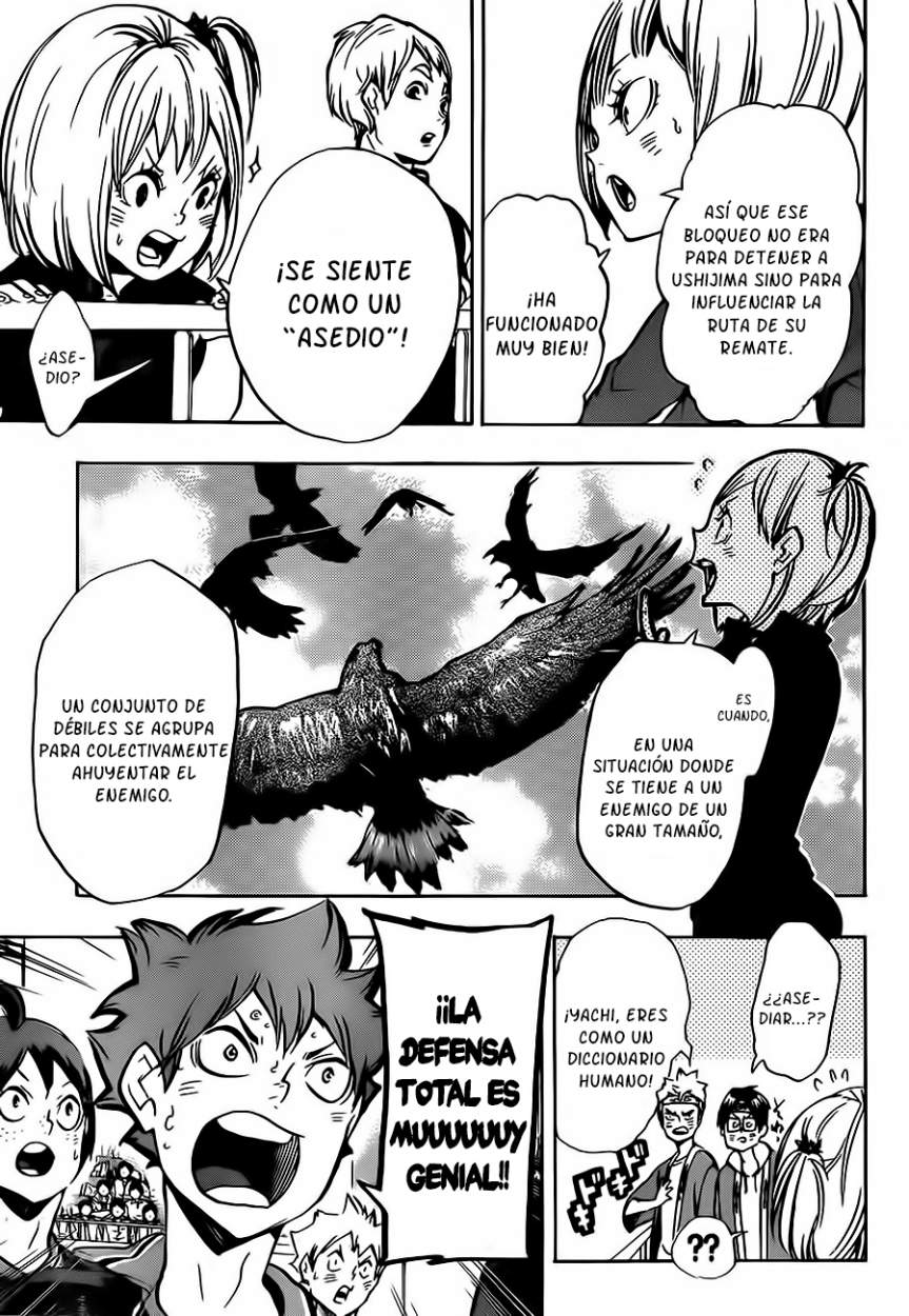 Read Haikyuu!! (ES) Manga Online