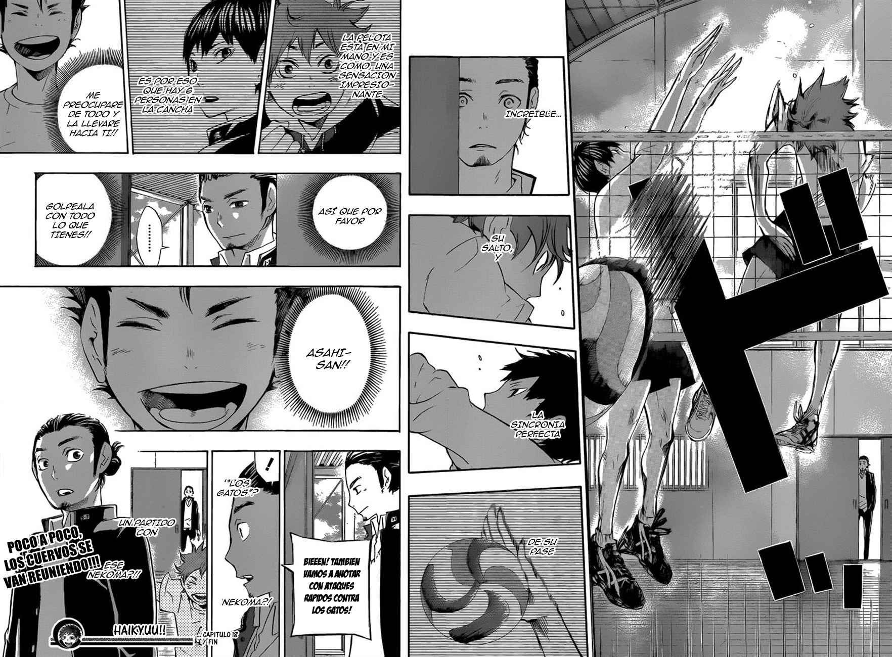 Read Haikyuu!! (ES) Manga Online
