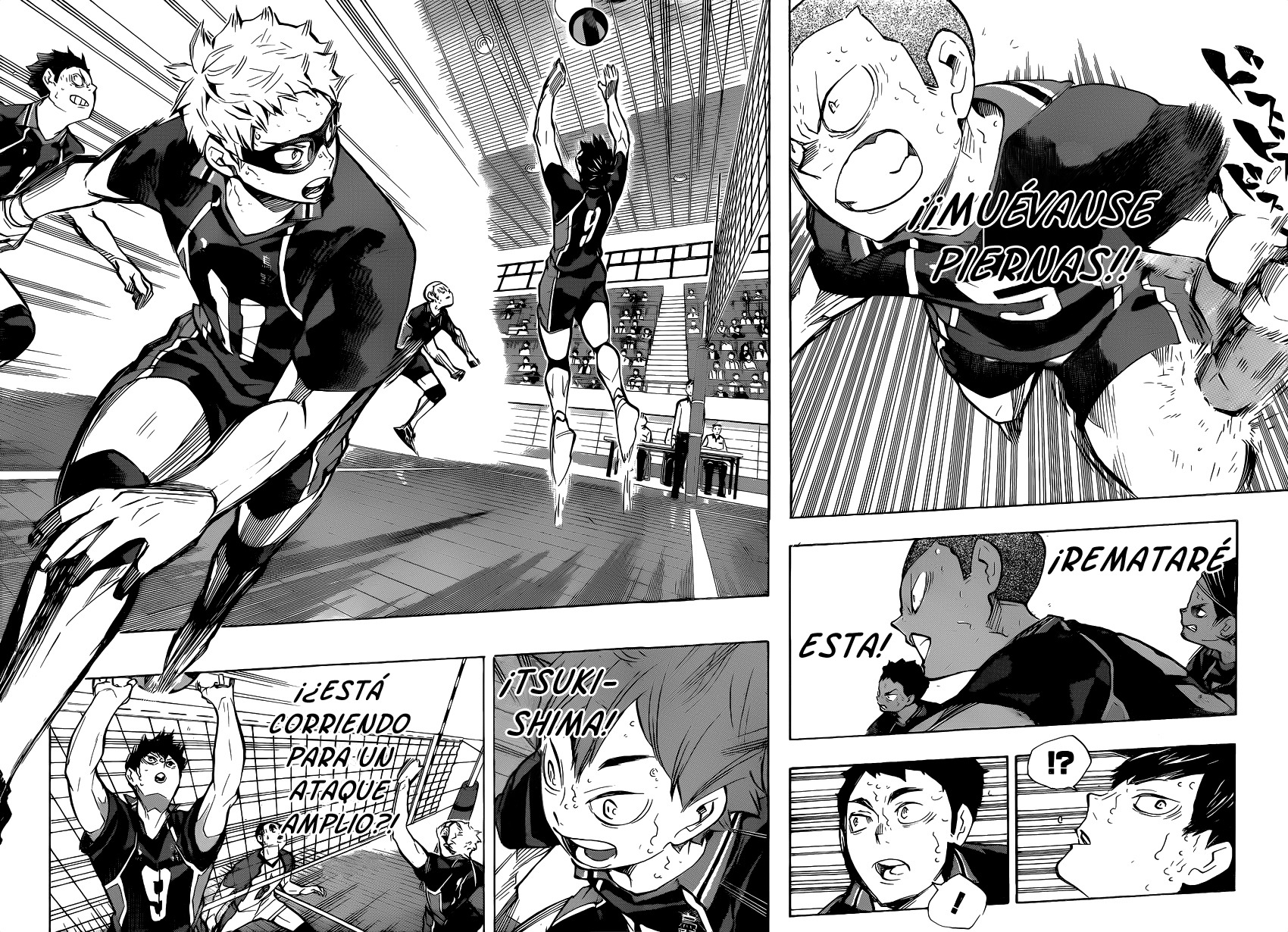 Read Haikyuu!! (ES) Manga Online