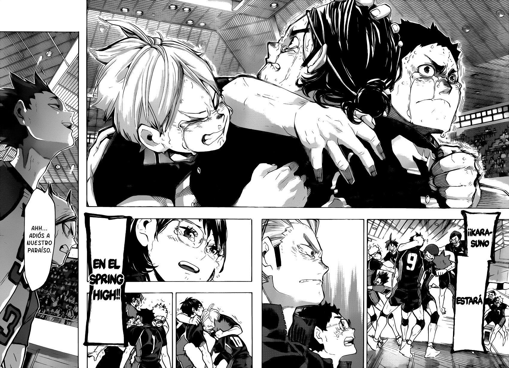Read Haikyuu!! (ES) Manga Online