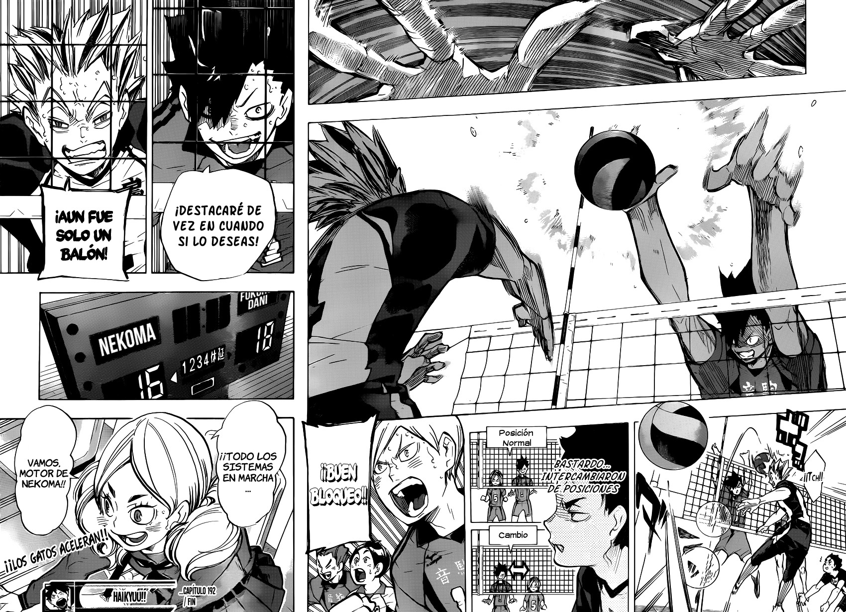 Read Haikyuu!! (ES) Manga Online