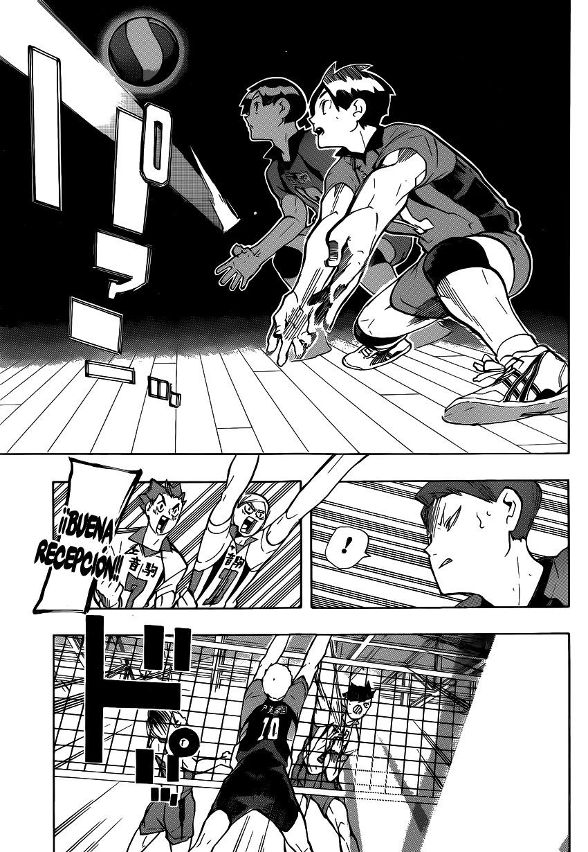 Read Haikyuu!! (ES) Manga Online