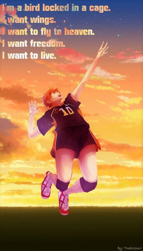 Read Haikyuu!! (ES) Manga Online