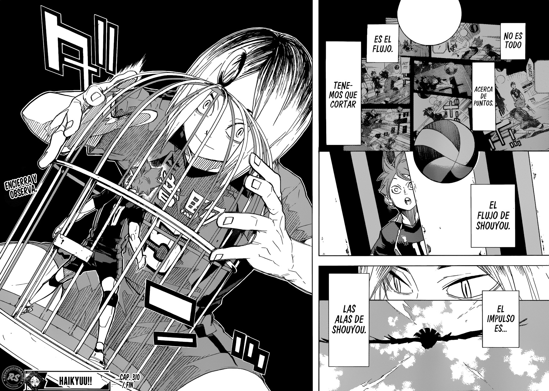 Read Haikyuu!! (ES) Manga Online