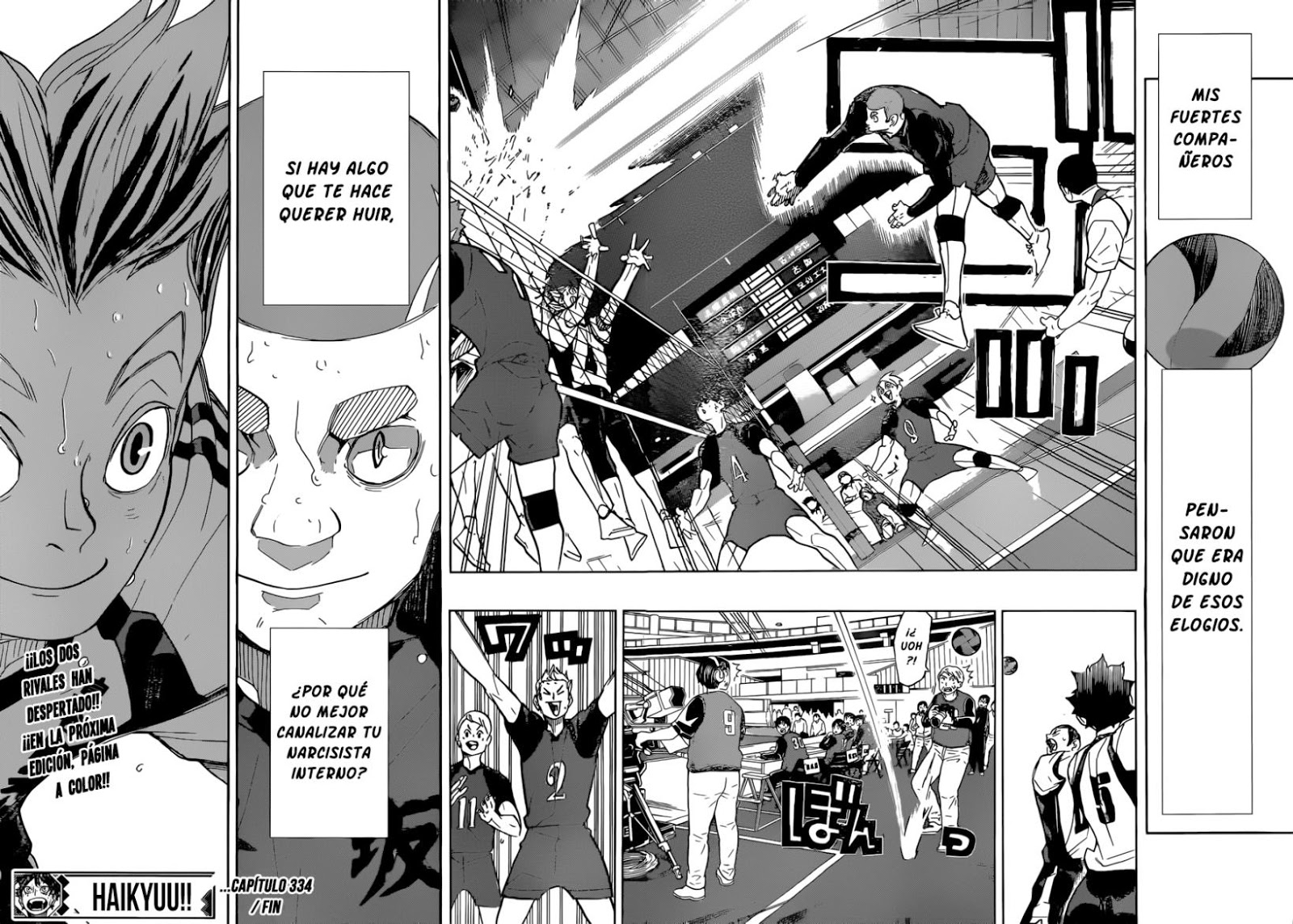 Read Haikyuu!! (ES) Manga Online